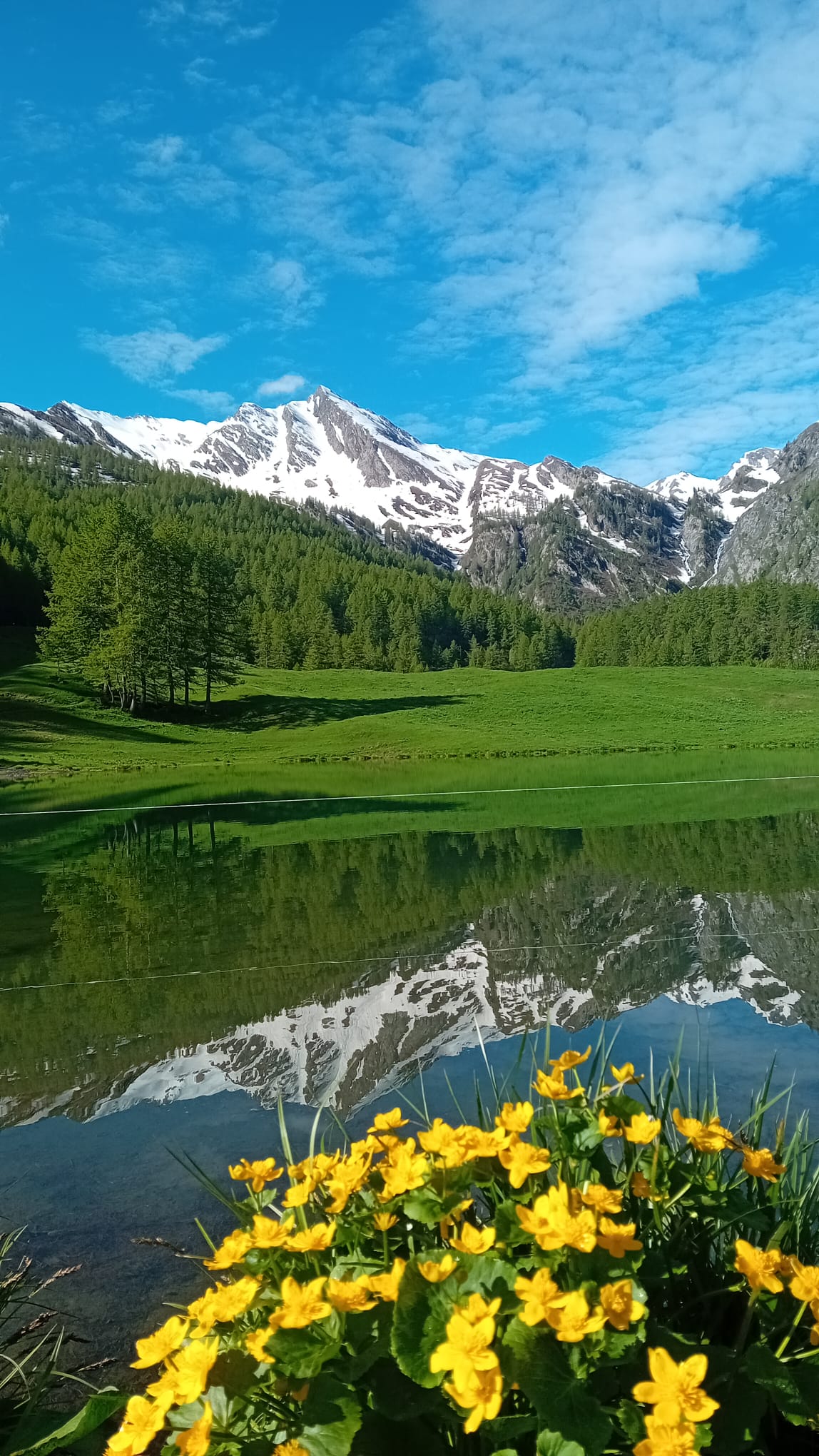 Foto associazione