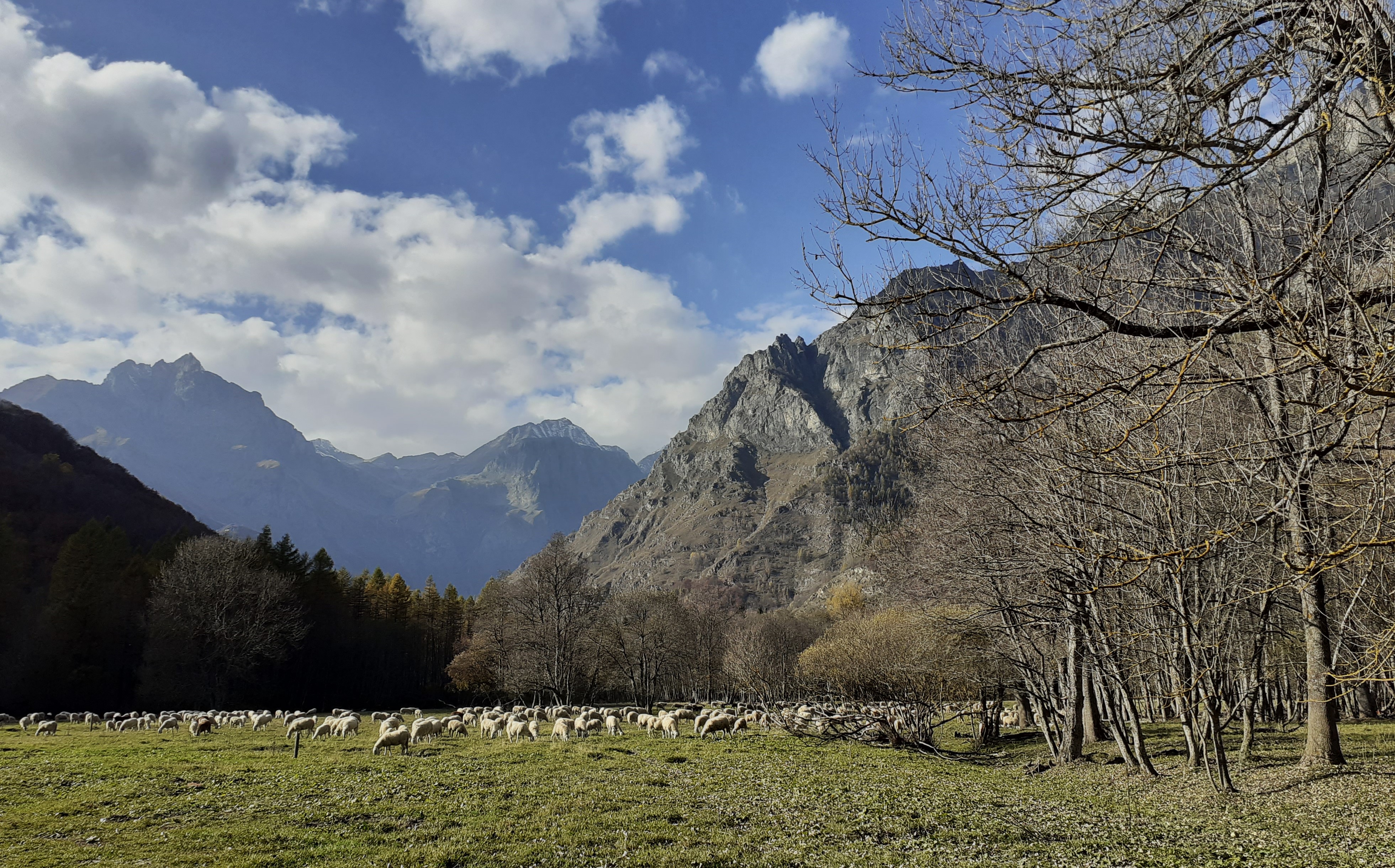 Foto associazione