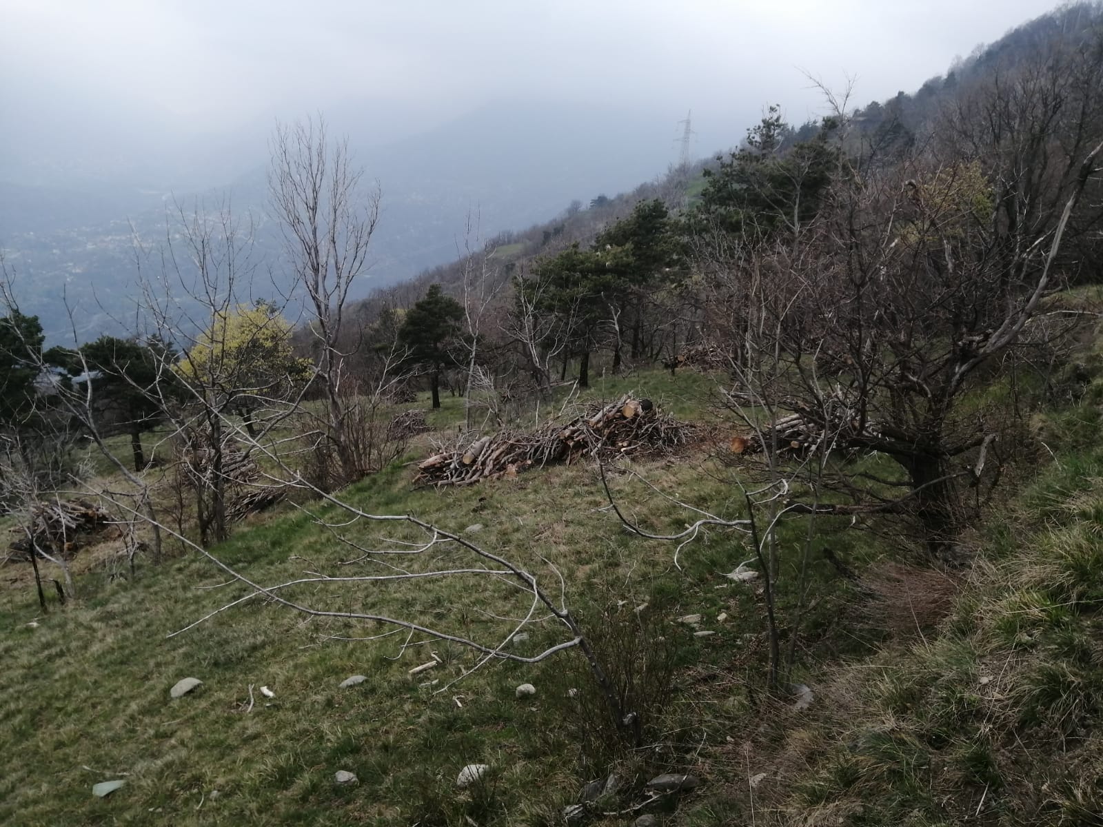 Foto associazione