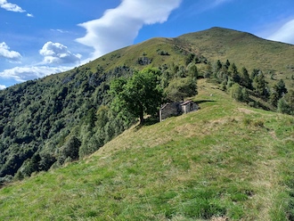 Asfo Alpeggi del pizzo Tracciora