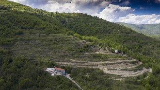 Asfo Rocca Bianca