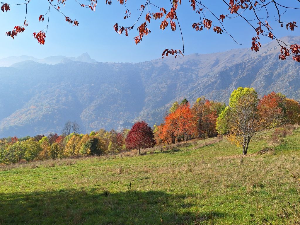 Foto associazione