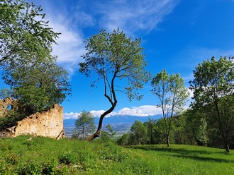 Asfo Terre di Mezzo